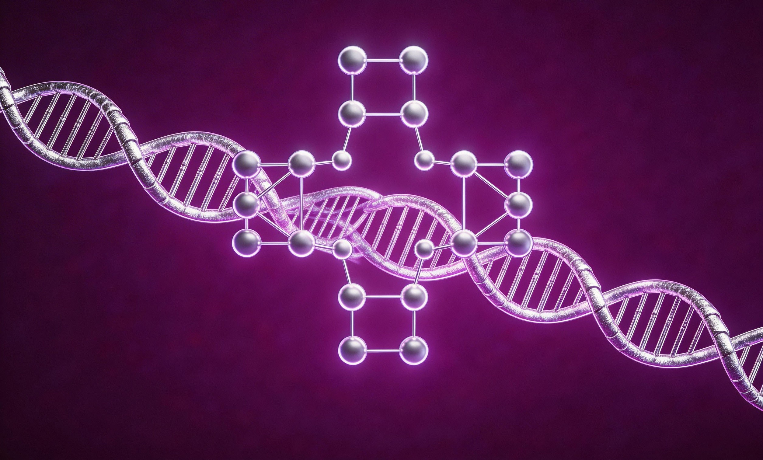 法律翻譯的服務范圍有哪些?